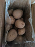 甘肃定西土豆马铃薯2025年新挖粉糯沙面高山洋芋黄心黄皮定西特产 净重9斤中果 每颗3-5两左右 实拍图