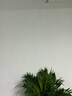 嘉宝莉乳胶漆室内家用自刷内墙白色环保墙面漆涂料净味亮白2合1 20kg/15L 实拍图