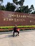 京巧手动折叠轮椅车便携式轮椅小型轻便减震老年人代步旅游出行专用 实拍图