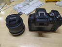 佳能（Canon）佳能R10 入门级微单相机 eos r10半画幅无反 Vlog拍摄 4K高清视频 学生旅行家用 拍摄必备套装 实拍图