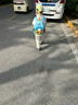 爱贝迪拉幼儿园儿童书包中大班防走失1-3-6岁男孩女孩卡通可爱透气防渗水 双层小号-吉米车车 实拍图