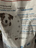 皇家狗粮 幼犬狗粮 宠物 小型犬 MIJ31 全价犬粮 2-10月 2KG 实拍图