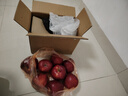 京鲜生甘肃天水花牛苹果 又大又红 净重4.5斤装 单果200g起 生鲜水果 实拍图