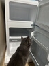 HYUNDAI（韩国现代）小冰箱迷你小型家用冷藏冷冻宿舍出租房办公室双开门二门电冰箱节能省电 68L白【一级能效+租房必备】 实拍图