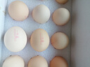 1号会员店（One's Member）可生食标准鲜鸡蛋36枚 礼盒装  单枚55g 源头直发 实拍图