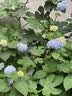 爱丽思（IRIS）【买3免1】爱丽思收纳箱整理箱塑料抽屉式收纳箱储物箱衣服收纳盒 37L BC-450 白色*限量补贴款 实拍图