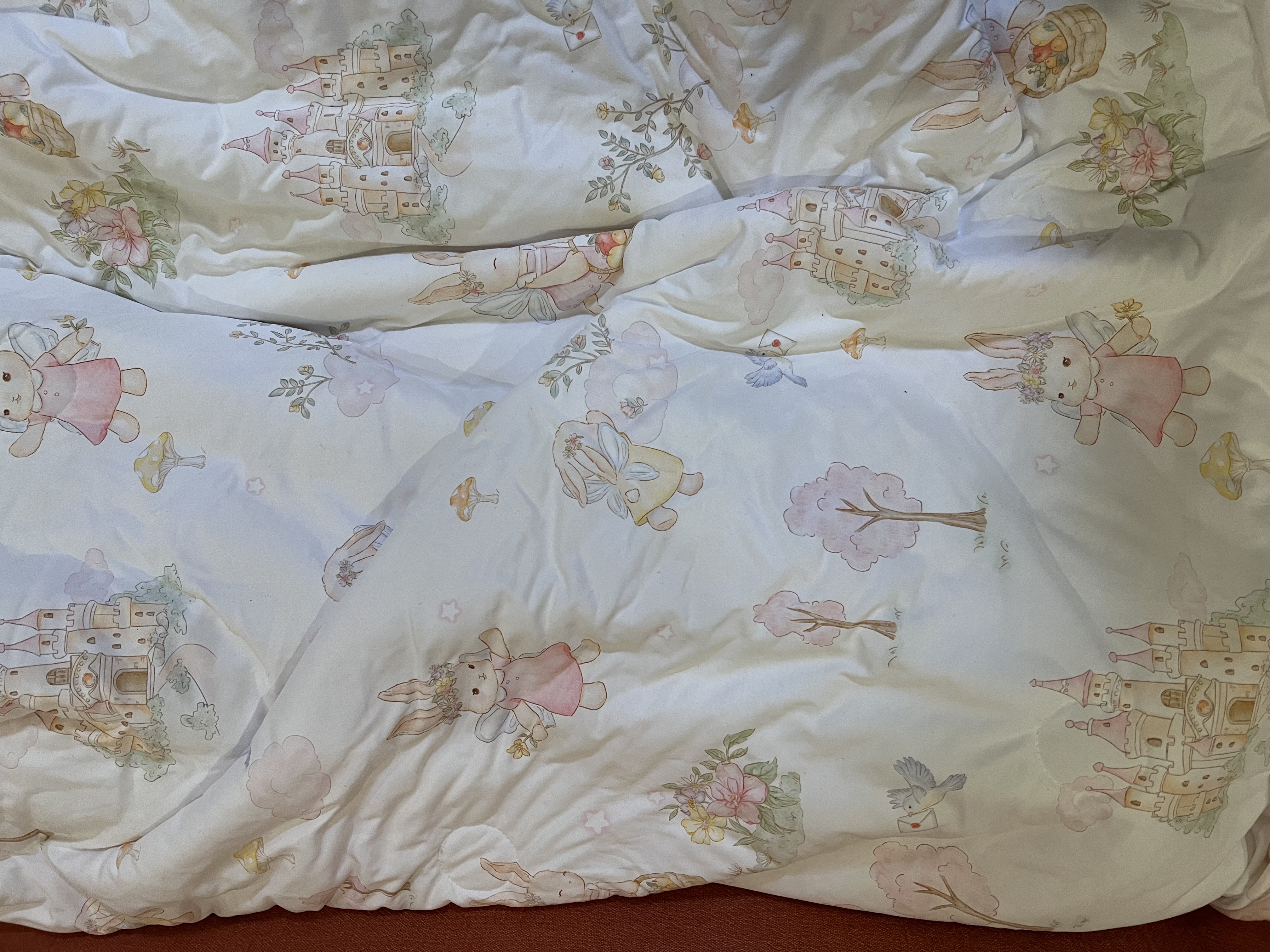 莫尔兔儿童被子蚕丝被恒温被春秋中厚幼儿园午睡豆豆毯120*150婴儿被子 桑蚕丝丨萌兔城堡【春秋中厚】推荐10-25℃ 120*150cm丨双核恒温丨10A抗菌 实拍图