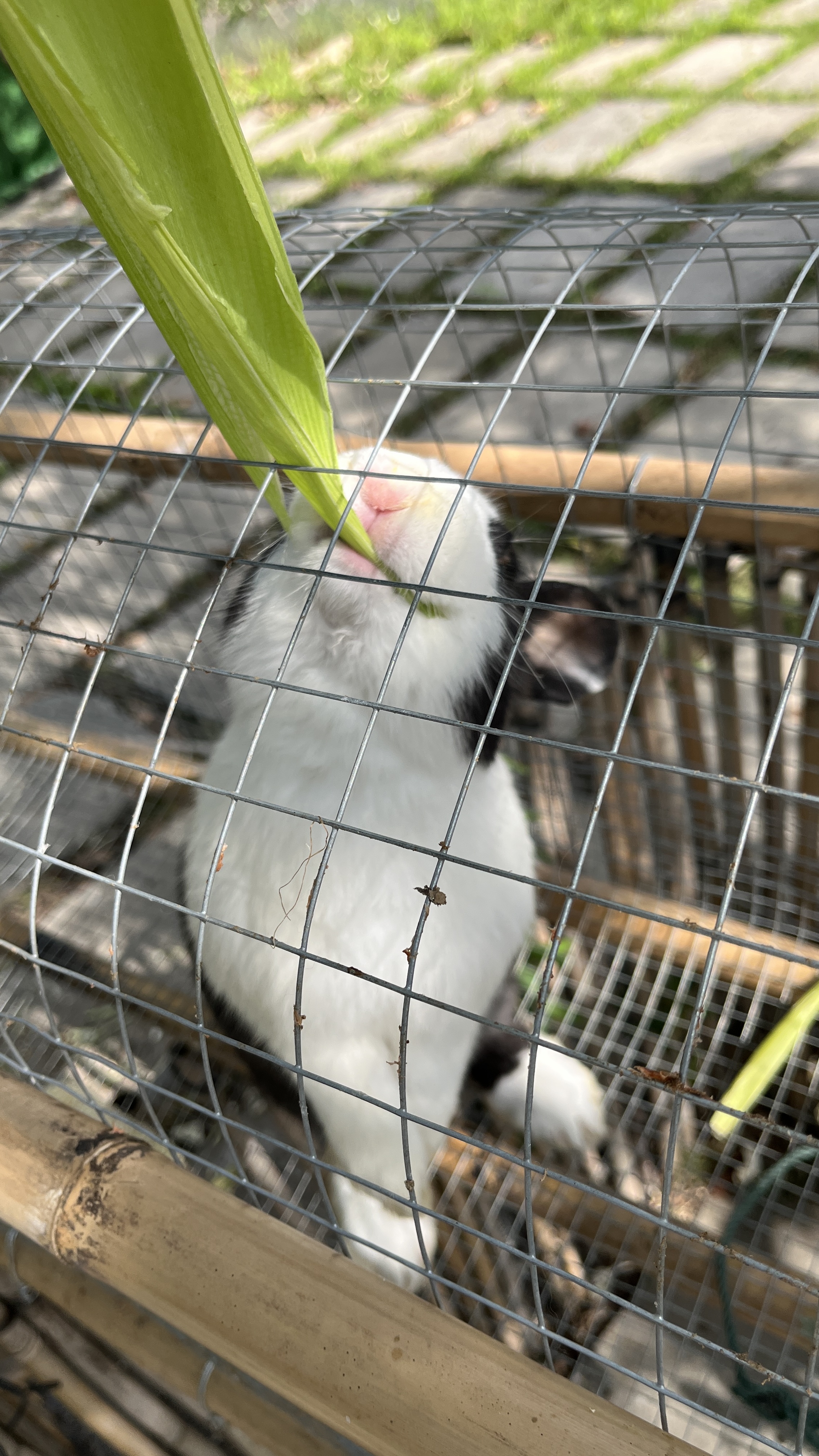 锐步运动斜挎包大容量旅行包防泼水轻量单肩包户外通勤饺子包 黑色 实拍图