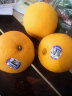 澳大利亚进口脐橙 橙子 12粒装 单果约150g以上 新鲜水果 晒单实拍图