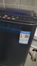 YANGZI扬子集团大容量波轮洗衣机全自动蓝光智能预约强力风干自清洁宿舍家用洗衣机洗烘一体小型甩干机 10kg【蓝光升级+10年质保+强动力电机】 波轮 实拍图