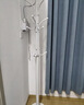 八海鸟衣帽架落地挂衣架立式挂衣服铁艺金属挂包架子入户玄关卧室大衣架 实拍图