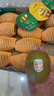 佳沛（zespri）新西兰 新果季 阳光金奇异果12粒特大果单果124-146g 猕猴桃 实拍图
