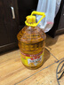 鲁花食用油 物理压榨 非转基因 玉米油6.18L 家用粮油 健康植物油 实拍图