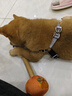 伯纳天纯狗粮幼犬奶糕粮2-4个月离乳期幼犬狗粮3斤/1.5kg 实拍图