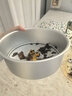 展艺20cm8寸阳极圆形活底蛋糕模 戚风海绵蛋糕模乳酪模烘焙工具露营 实拍图