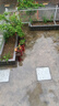 乔安（JOOAN）AI高清监控摄像头室外防水监控器横向360度无死角带夜视全景农村室外高清wifi户外防水旋转 实拍图