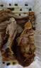 德州扒鸡山东特产礼品熟食腊味烧鸡开袋即食五香精选童子鸡500g1斤 实拍图