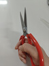 王麻子剪刀家用 正宗老式剪刀缝纫家用裁缝剪子剪刀大全 加强防锈红色【中号】 实拍图