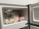 新飞（Frestec）小冰箱 冰箱小型双开门 迷你双门家用宿舍租房冷藏冷冻电冰箱节能省电 42L银【店铺爆款+节能省电】 实拍图