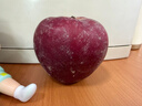 京鲜生甘肃天水花牛苹果 又大又红 净重4.5斤 单果160g起 生鲜水果 实拍图