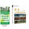 DK恐龙与其他史前生物 DK博物系列丛书 详细了解恐龙的第一本科普书 中小学生推荐课外阅读课外读物科普启蒙 儿童动物百科全书 高清实拍图鉴 开学季 实拍图