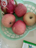 京鲜生山东烟台红富士苹果 净重10斤装单果80-85mm 生鲜水果 源头直发 实拍图