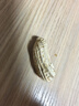 【精品大粒】云南新鲜七彩花生手工挑选带皮湿花生水果新鲜蔬菜 4斤-净重 实拍图