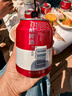百威啤酒mini红罐淡色拉格255ml*24小罐整箱装京东自营喜酒踏春送礼 实拍图