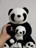 熊猫熊大熊猫毛绒玩具玩偶娃娃公仔生日礼物送女生同学抱枕仿真布偶摆件 实拍图