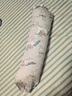 babycare婴儿安抚枕头宝宝多功能抱枕透气枕头6月-6岁-比奇角恐龙39*12cm 实拍图