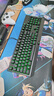 雷蛇（Razer）黑寡妇蜘蛛标准版 机械键盘 游戏键盘 绿色背光 游戏电竞 有线机械键盘 绿轴 实拍图