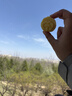 知味观绿豆糕原味 杭州特产老式糕点心中华老字号订婚喜饼茶点零食150g 实拍图