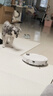 石头（roborock）扫地机器人扫拖一体 P20 Max扫拖洗烘一体机 自动集尘热水洗拖布擦地拖地洗地机吸尘器 A2950RR 实拍图