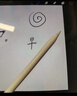Apple/苹果 Pencil Pro 磁吸触控笔手写笔苹果笔电容笔书写绘画ipad笔 适用于iPad Pro/Air/mini机型 实拍图