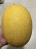 京鲜生 海南黄金哈密瓜 1粒装 单果3斤起  生鲜水果   实拍图