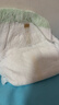 babycare金山茶花婴儿拉拉裤试用装XL码3片(12-17kg)尿不湿超薄透气 实拍图