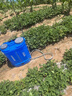锂电池电池喷雾器专用蓄电池12V大容量农用电瓶背负式配件 12V20AH【动力电芯】 锂电池+免焊线+品口锂电充电器 实拍图