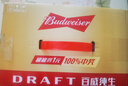 百威啤酒经典纯生500ml*12听整箱装新旧包装京东自营踏春送礼 实拍图