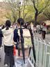 赛普户外登山包徒步包旅行背包轻便防水专业双肩包男女升级28L-荧光绿 实拍图