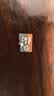 京东京造256G麒麟Lite读速高达150MB/S 高性能系列TF(MicroSD)存储卡U3 C10 A2 V30 手机平板游戏机内存卡 实拍图