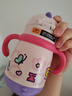 babycare儿童保温杯婴儿宝宝吸管水杯霸王龙不锈钢保温杯300ml-新旧款混发 实拍图