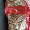 姬松茸干货500g无熏硫巴西菇滋补菇特产松茸菇特级姬松茸煲汤 500g 实拍图