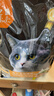 亿迪 冻干猫粮幼猫成猫10斤全价布偶蓝猫英短成年全阶段 实拍图