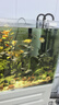 森森（SUNSUN）耀蓝鱼缸过滤器壁挂式抽水泵外置小型过滤桶YBG-600 7W 实拍图