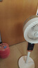 钻石牌电风扇空气循环扇落地扇家用风扇涡轮换气扇循环对流风扇落地大风量电扇蓝牙AI语音遥控FX-L20R-LX 实拍图