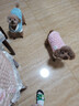 HELLOJOY狗狗零食磨牙棒比熊泰迪中小型犬磨牙洁齿 鸭肉绕奶棒100g 实拍图