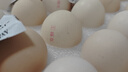 京鲜生 无抗保洁鲜鸡蛋30枚/盒 健康轻食 礼盒送礼 1.5kg/盒 源头直发 实拍图