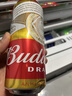百威啤酒经典纯生500ml*12听整箱装新旧包装京东自营踏春送礼 实拍图