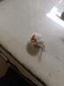 【百万单爆品】紫白皮蒜水果大蒜超市生鲜蔬菜调料即食蒜 【尝鲜】3头50g单果3.5-5cm 实拍图