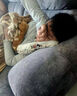 Aehig日本进口抗过敏益生菌益生元灭活乳酸菌双歧杆菌鼻炎皮肤成人儿童 60粒*12瓶 【360天用量】 实拍图